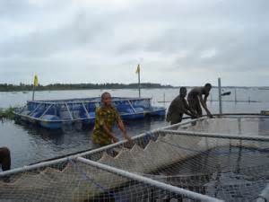 fisherfolks