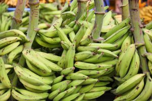 Green plantains (bananas)